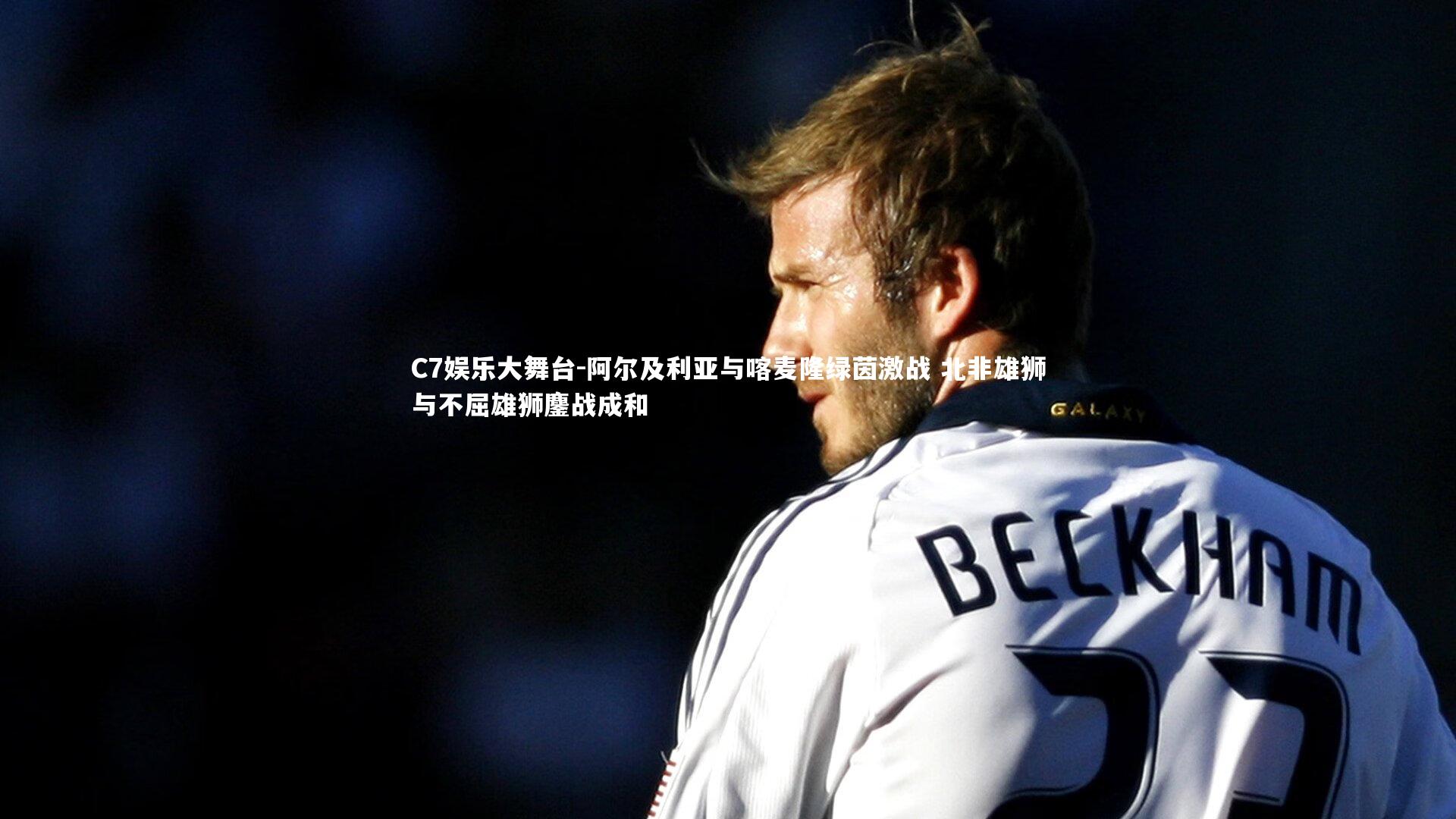 阿尔及利亚与喀麦隆绿茵激战 北非雄狮与不屈雄狮鏖战成和